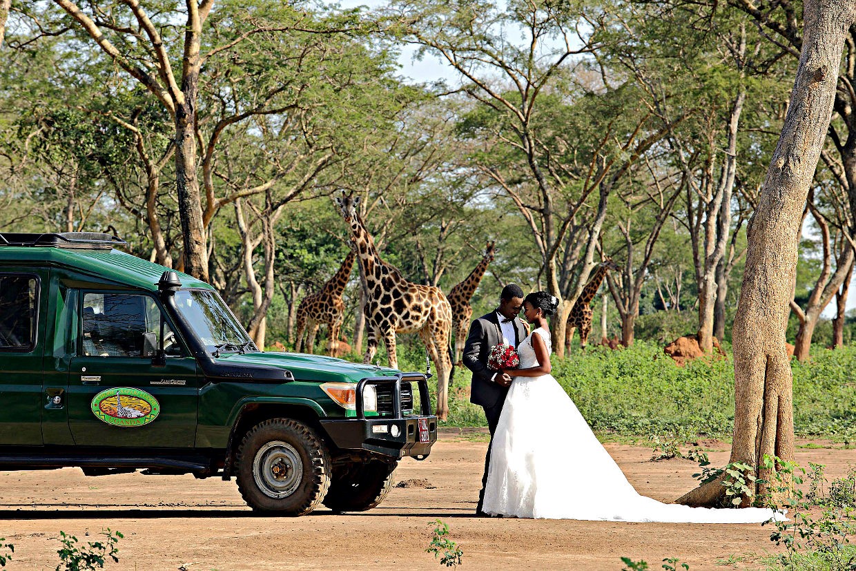 Plan a Game Park destination wedding